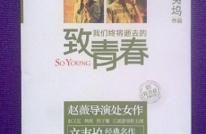 致我们即将逝去的青春小说,致我们即将逝去的青春