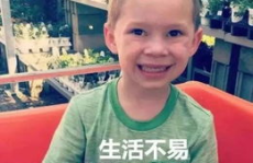 娱乐吃瓜酱男孩发表情包,趣味横生的网络潮流