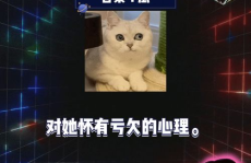 娱乐八卦开心吃瓜视频,开心吃瓜，揭秘明星幕后故事