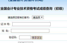 会计资格评价网查询成绩,会计资格评价网成绩查询结果概览