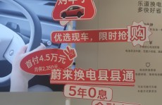 车贷高息高返按下暂停键商业是指什么行业