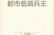 低调兵王 小说,低调兵王都市传奇
