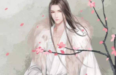 纨绔世子妃全文免费阅读,穿越古代，逆袭成权谋女王