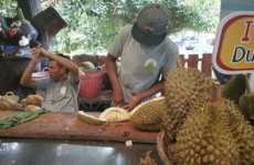 泰国娱乐吃瓜,揭秘明星们的甜蜜与苦涩