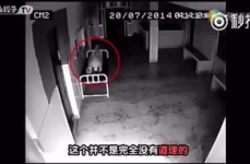 走进科学灵异事件,探寻灵异事件的神秘面纱