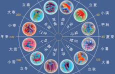 十二星座系统,揭秘星座特质与命运关联